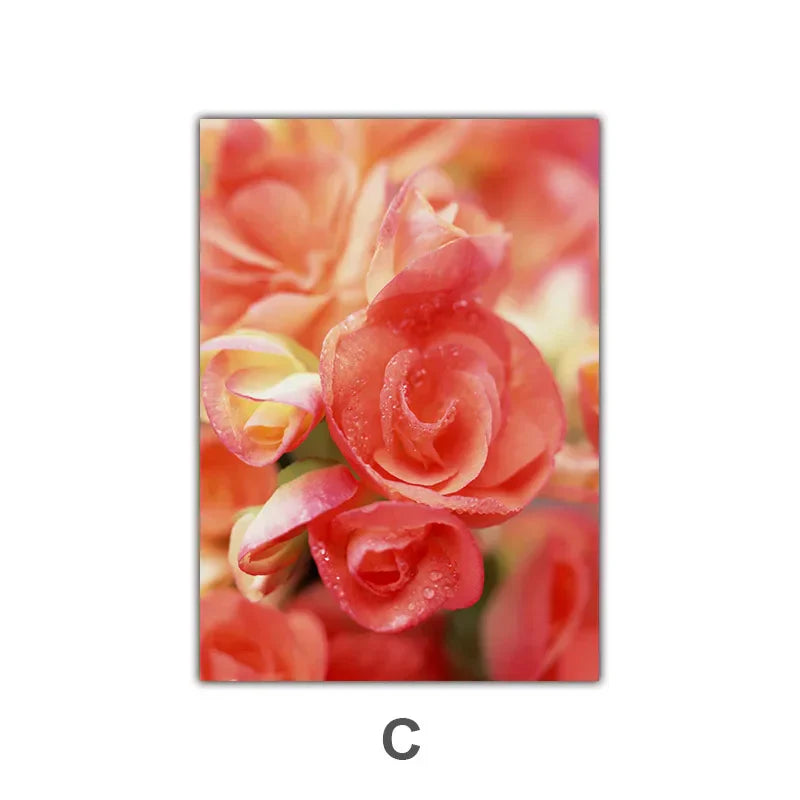 Rosa rote Rosen florale Wandkunst Feine Kunst Leinwanddrucke Moderne botanische Poster Bilder für Wohnzimmer, Schlafzimmer Kunst Dekor | Brehn