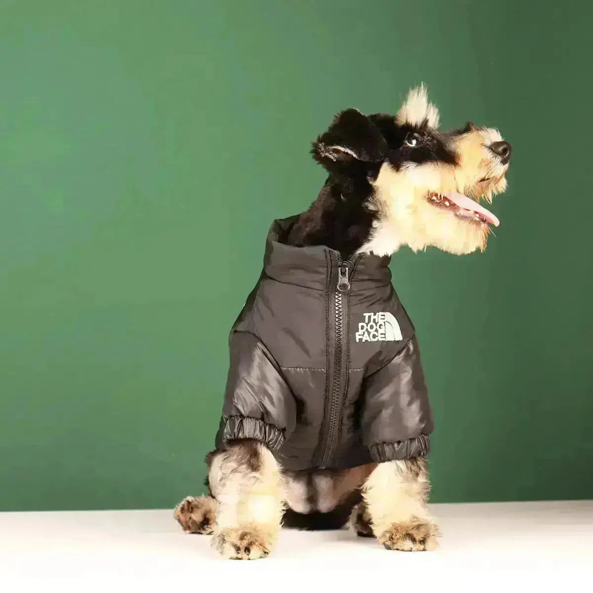 Die Hundegesicht Jacke - Typ A