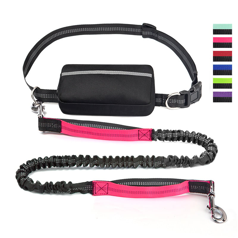 FlowLeash — Erleben Sie sanfte Kontrolle und entspannte Gassirunden ohne Rucke! | Brehn