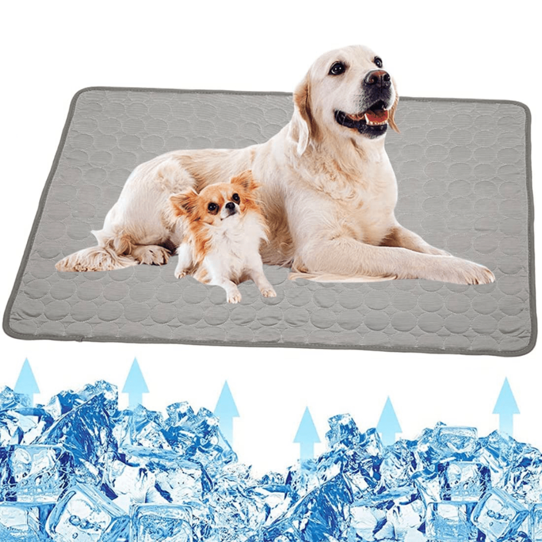 Cooling Dog Mat - CoolPet Mat Brehn