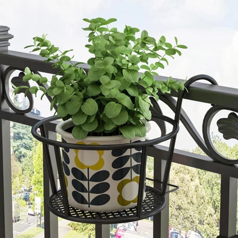 Brehn | Verwandle deinen Balkon - Hängende Pflanzen - Botanisches Urlaubsziel