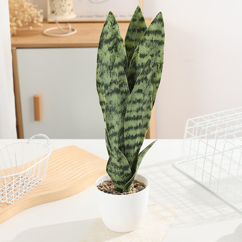Kunstpflanze Sansevieria, 50 cm, PE