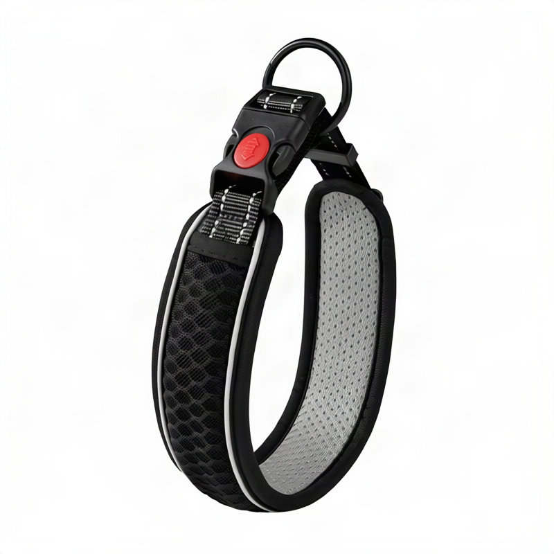 Hundehalsband aus Polypropylen
