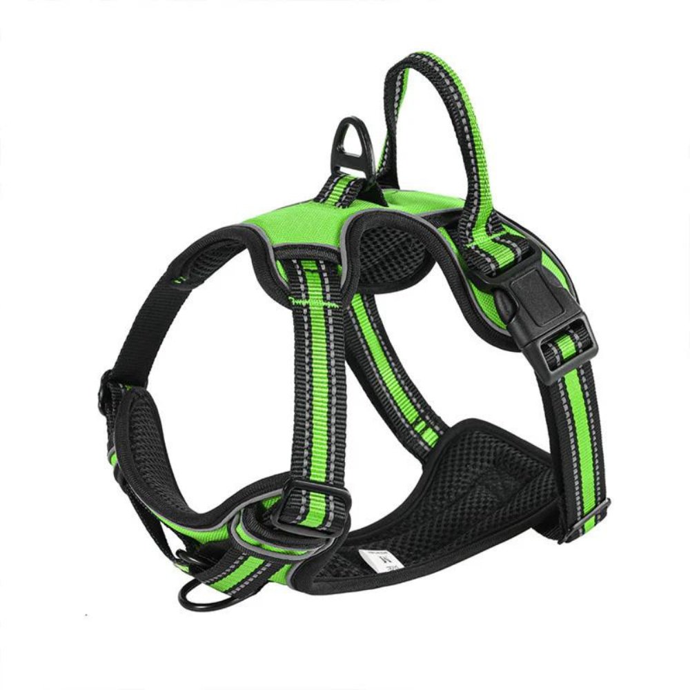 FlexHarness • Kein Zieh-Hundegeschirr