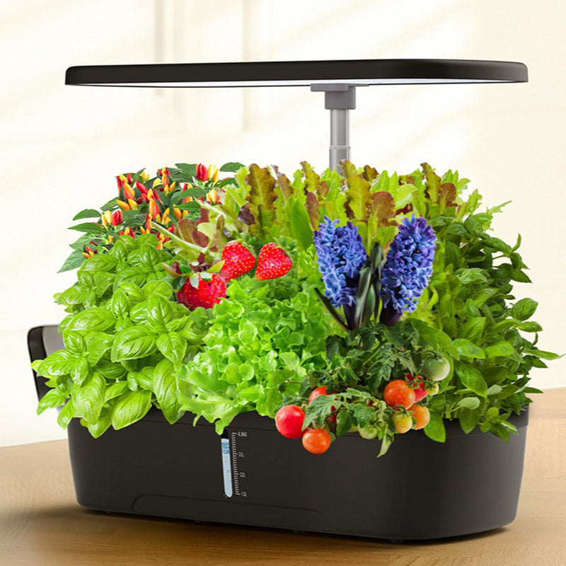 Innovatives Hydroponik-Anbausystem – 12 Pods Kit