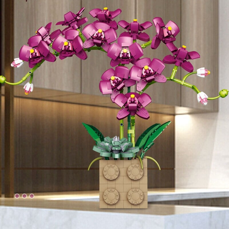 Brehn | Riesige blühende Orchideenblüten-Bausatzkollektion