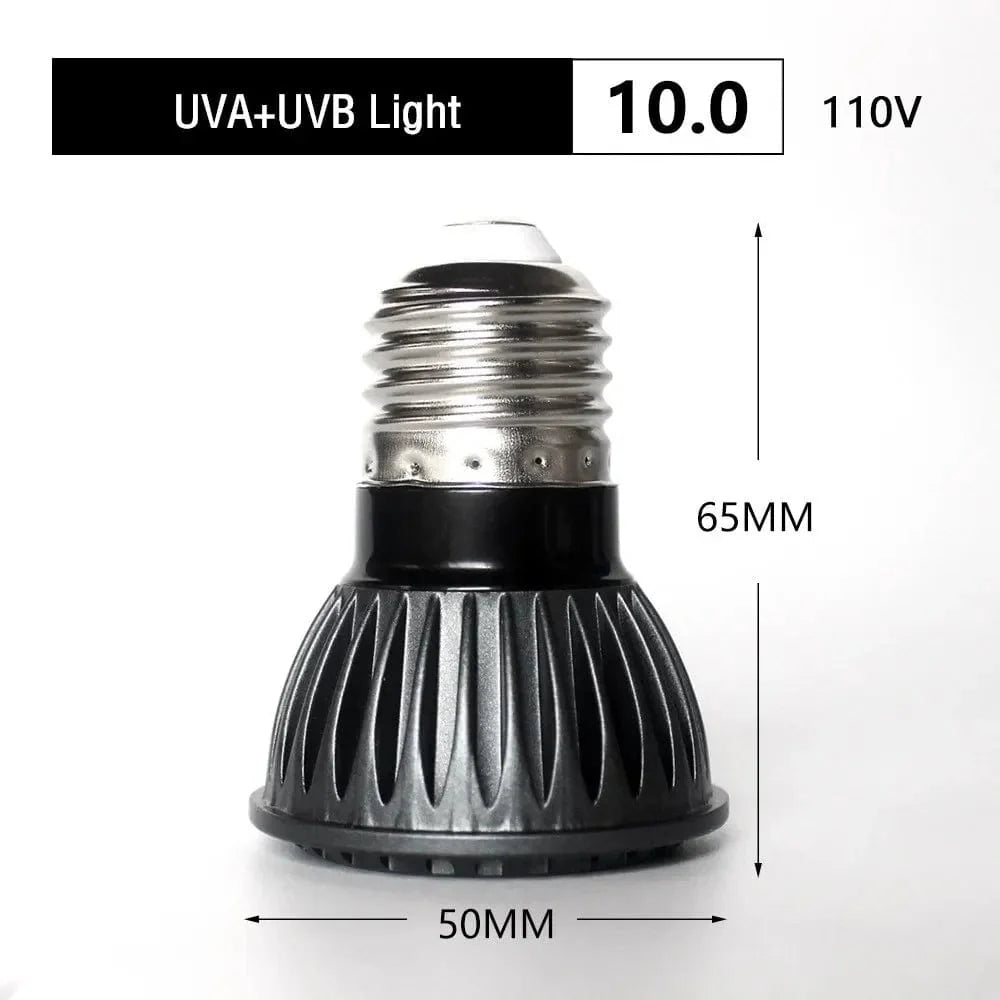 UVA + UVB LED Reptilienlicht Schildkröte Sonnenbadeplattform Vollspektrum Sonnenlampe Sonnenbaden Wärme lampe für Echsen Reptilien und Amphibien | Brehn
