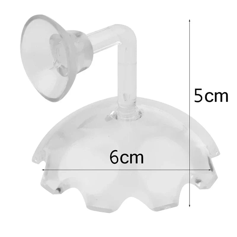 Shrimp Feeder Dish Shrimp Feed Dish Aquarium Fish Tank Shrimp Food Bowl Feeding Clear Glass Feeding Tube Dish Suction Accessory | Brehn
