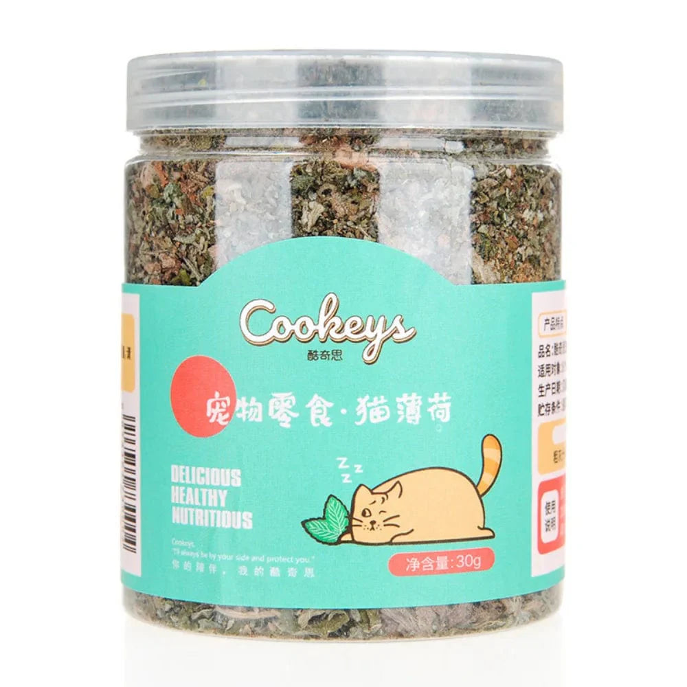 Kat Minze Keks Katze Essend Snack Haustier Mahlzahn Ernährung Dickmachend Kätzchen Snack Erwachsen Katze Belohnung | Brehn