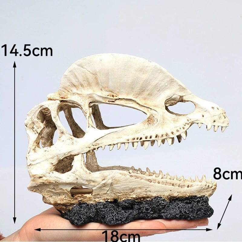 Tiere Schädel Fisch Tank Fossil Dinosaurier Ornamente Aquarium Nashorn Knochen Dekoration Fischschüssel Krokodil Quallen Karpfen Schildkröte | Brehn