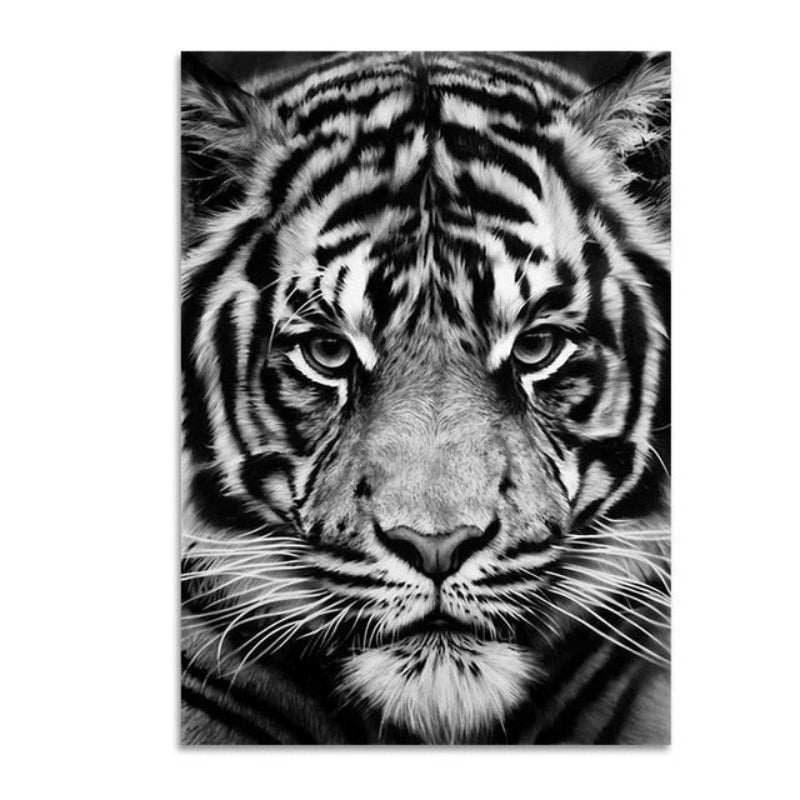 Natur, Tierwelt Afrikas, Wildtiere, Schwarz-Weiß - Leinwandbild