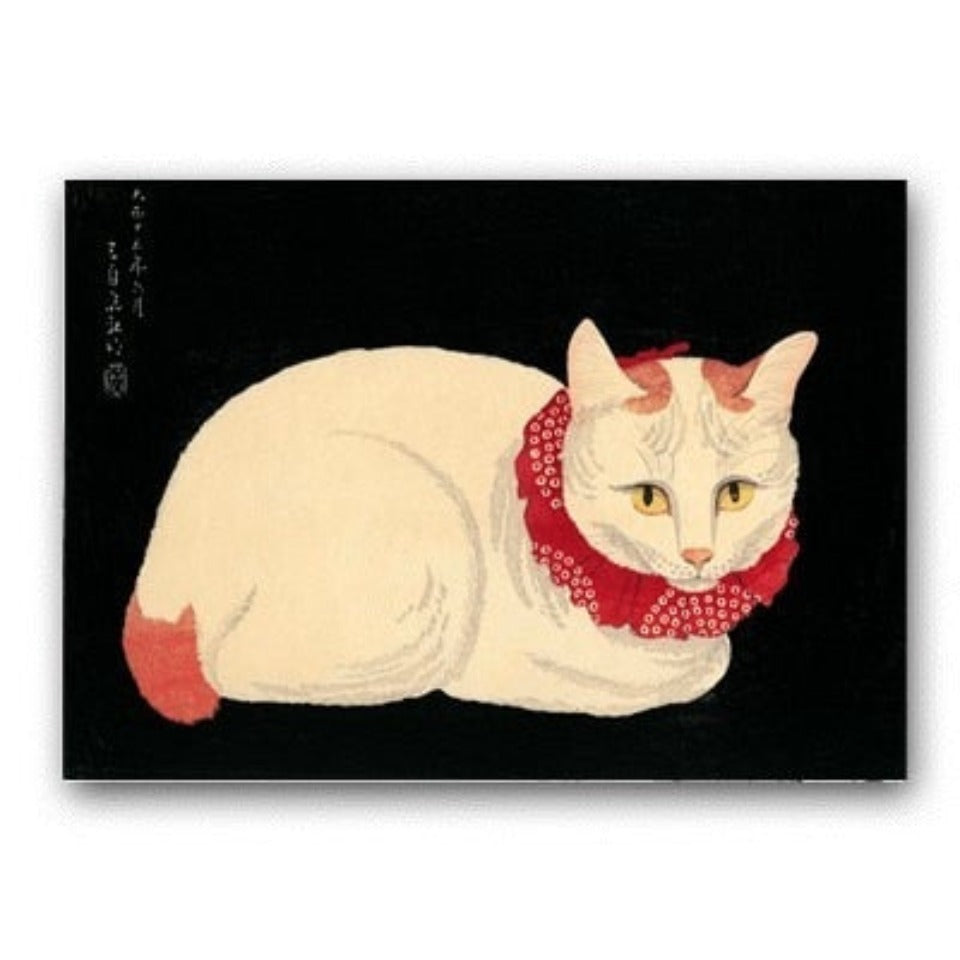 Katze mit rotem Schal - Leinwandbild