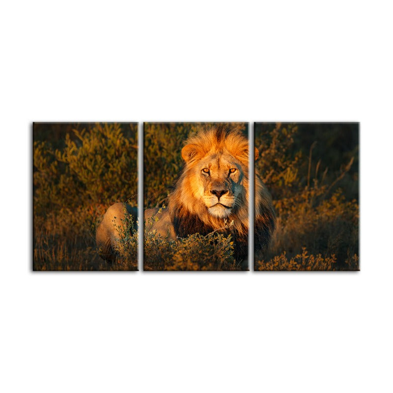 Göttliches Sonnenuntergang Löwe-Canvas Wandkunst Gemälde 3 Stück