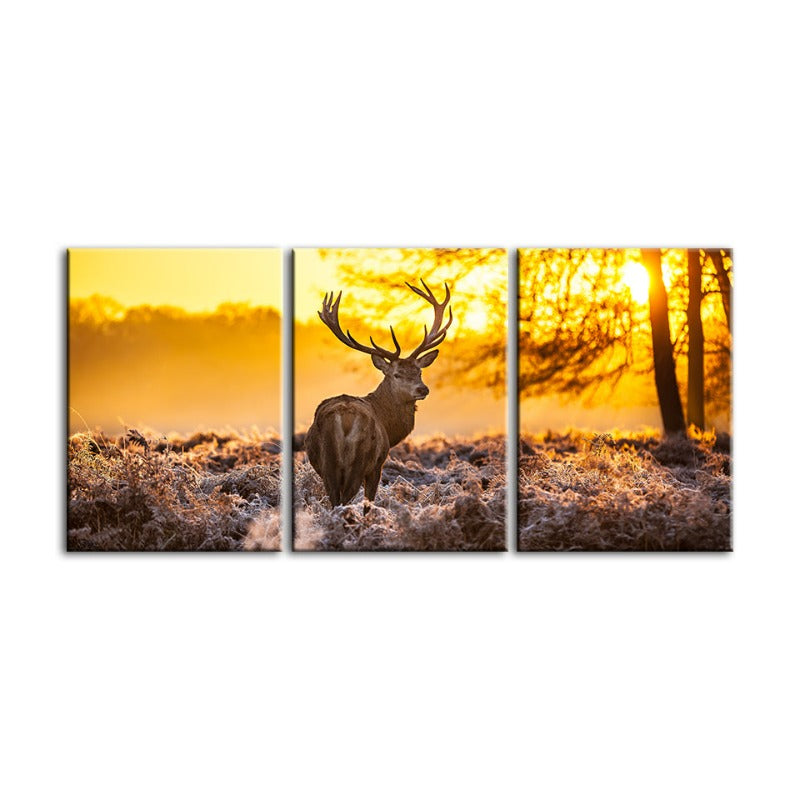 Winterhirsch im Morgengrauen – Leinwandbild, 3-teilig
