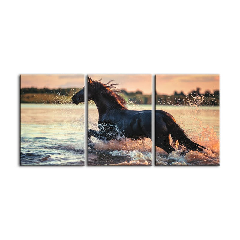 Galoppierendes Pferd im Wasser – Leinwandbild, 3-teilig