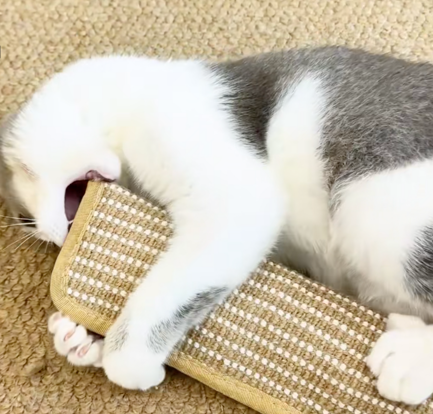 Krallex® — Entfessle das wilde Jagdfieber deiner Katze für stundenlangen Spielspaß und gesunde Zähne | Brehn