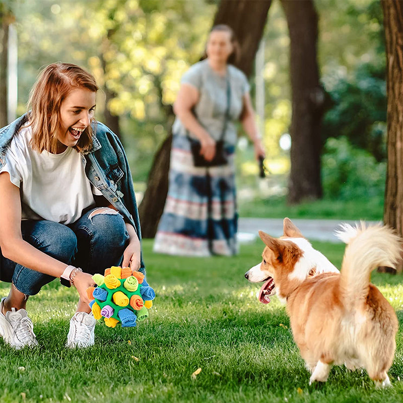 Sniffle Ball für Haustiere | Brehn