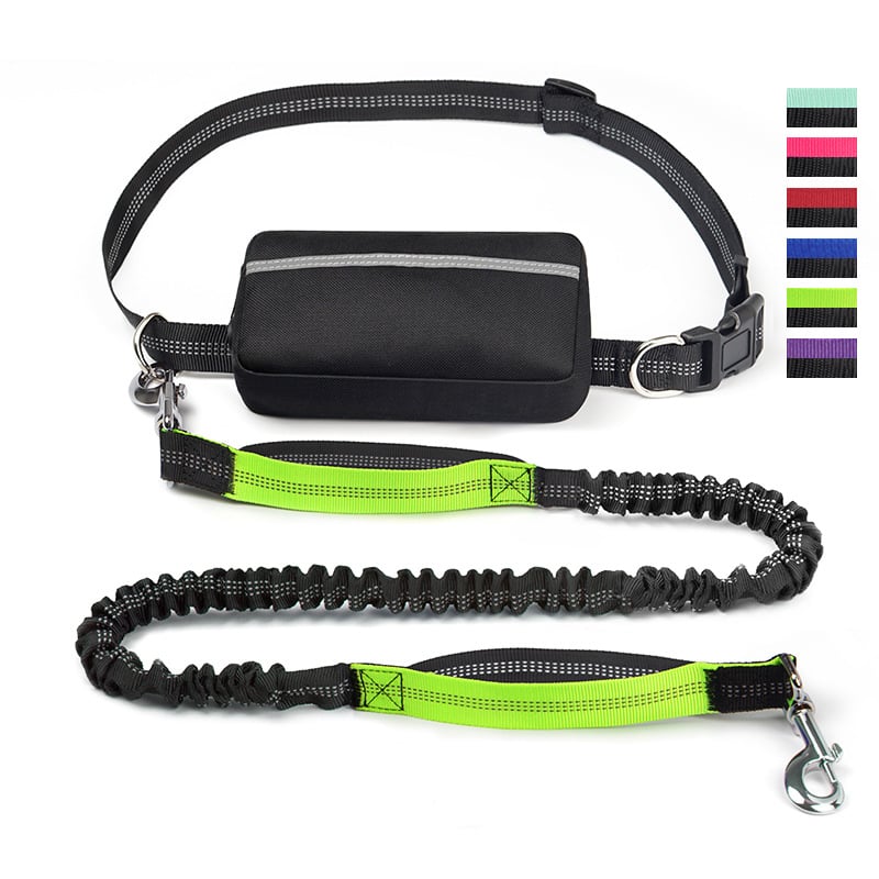 FlowLeash — Erleben Sie sanfte Kontrolle und entspannte Gassirunden ohne Rucke! | Brehn