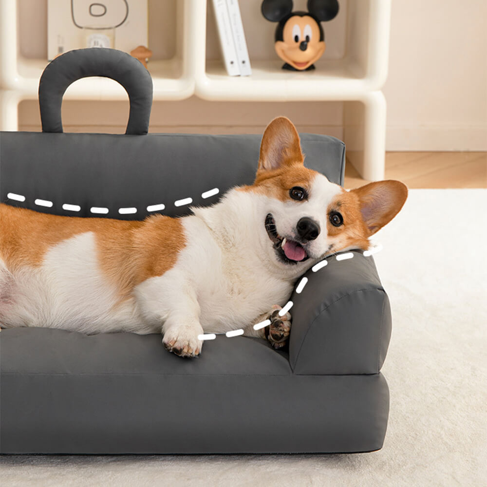 Erhöhtes Haustier-Sofa-Bett Stilvolles Wasserdicht Ergonomischer Komfort | Brehn