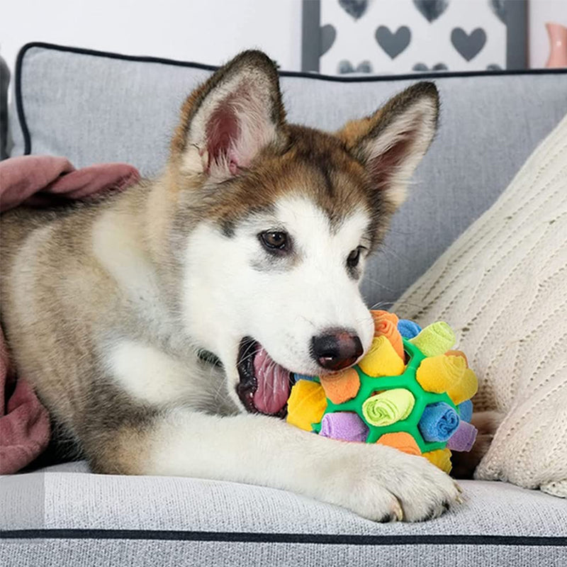 Sniffle Ball für Haustiere | Brehn