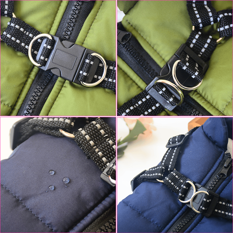 Winter Hundejacke mit Geschirr | Brehn