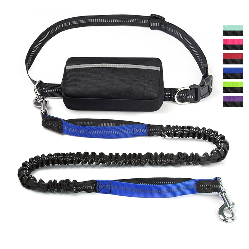 FlowLeash — Erleben Sie sanfte Kontrolle und entspannte Gassirunden ohne Rucke! | Brehn