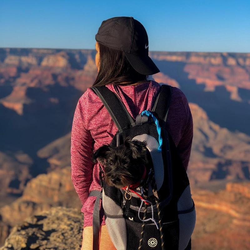 Brehn | Rucksack für Hunde/Katzen