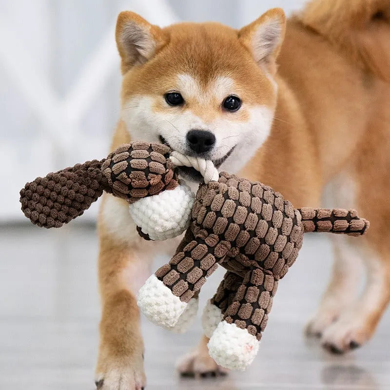Quietschendes Plüschtier für Hunde