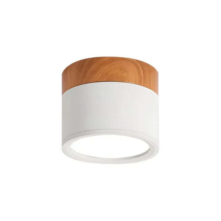 Brehn | Minimalistische Deckenlampe mit LED-Leuchten