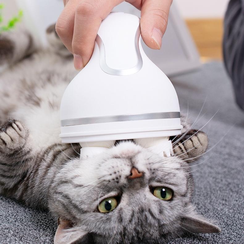 Elektrischer Katzenmassager | Brehn