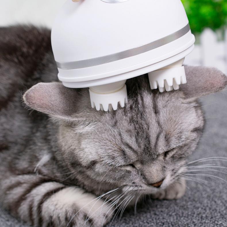 Elektrischer Katzenmassager | Brehn