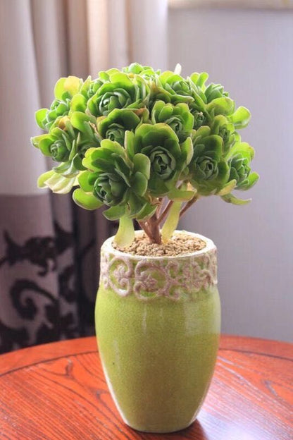 Heimische Blumenvase Brehn
