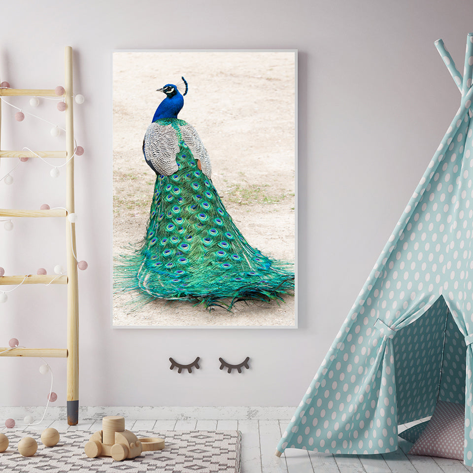 Eleganter Pfau im Rock – Leinwandbild