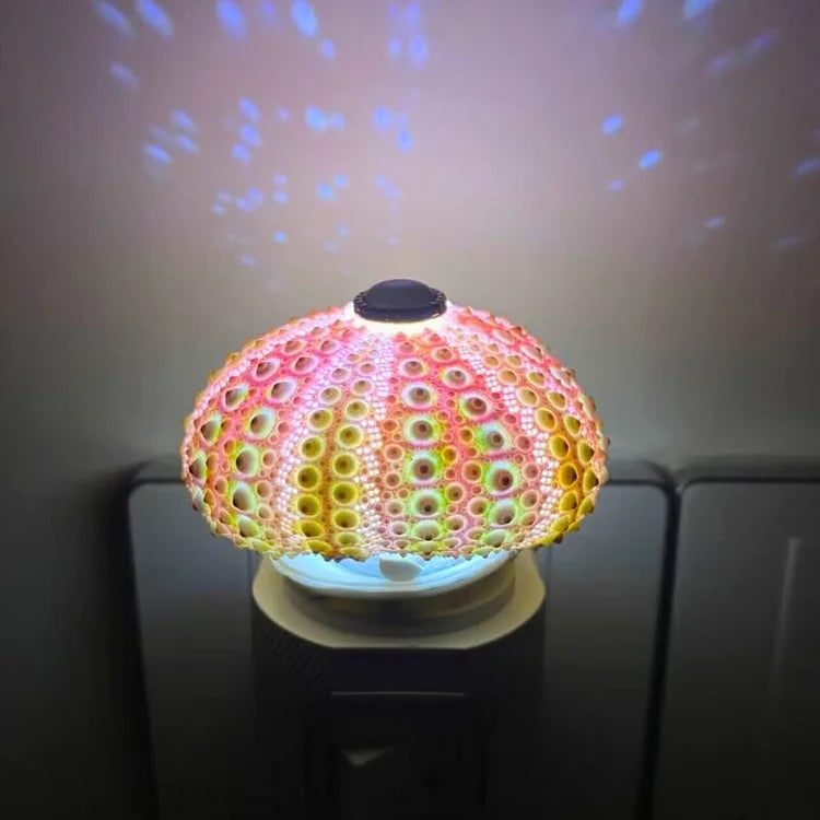 LumiCraft – Einzigartige DIY-Tischlampe mit natürlicher Muschel für ein gemütliches Ambiente