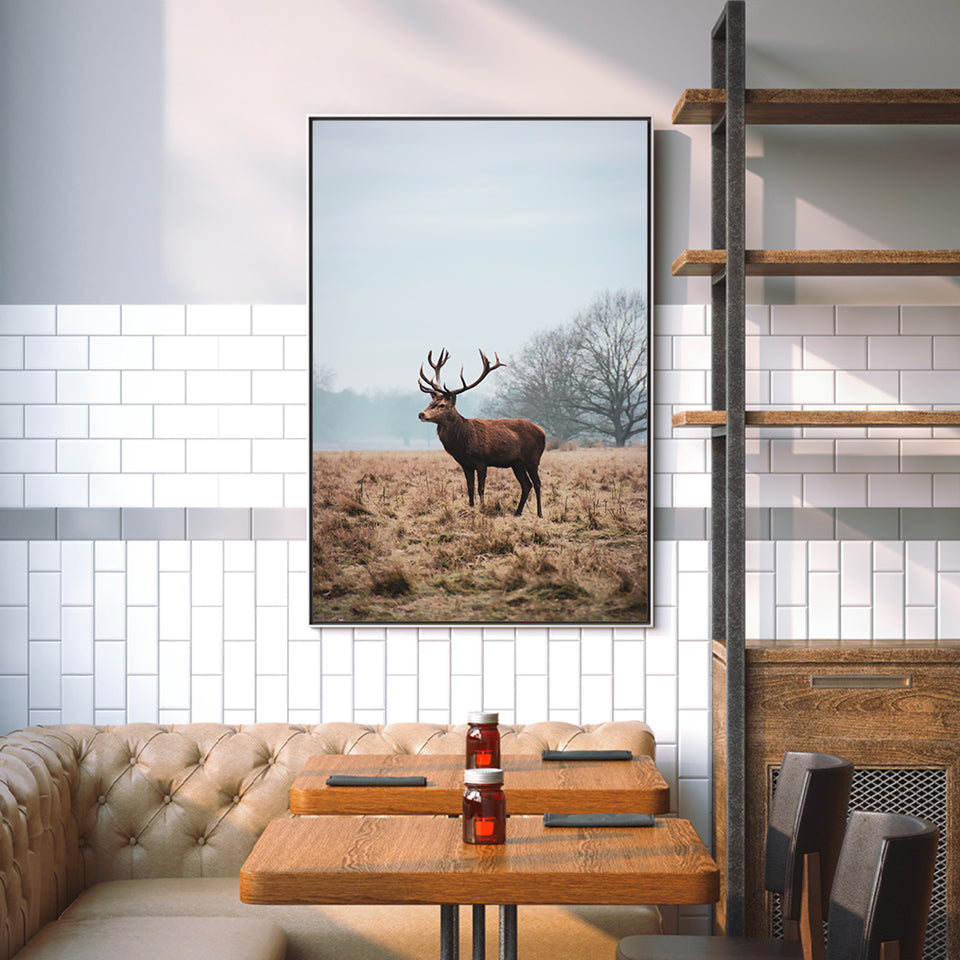 Majestätischer Hirsch in der Ebene - Leinwandbild