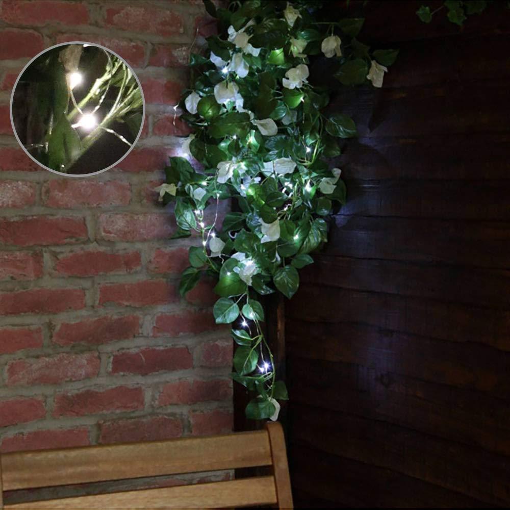 Solar Fairy Lichterkette | Brehn