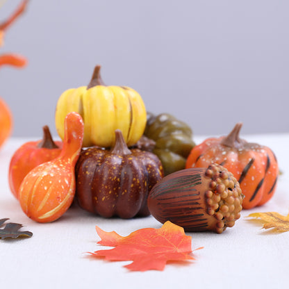 Dekorativer Herbst Kürbis Sammlung
