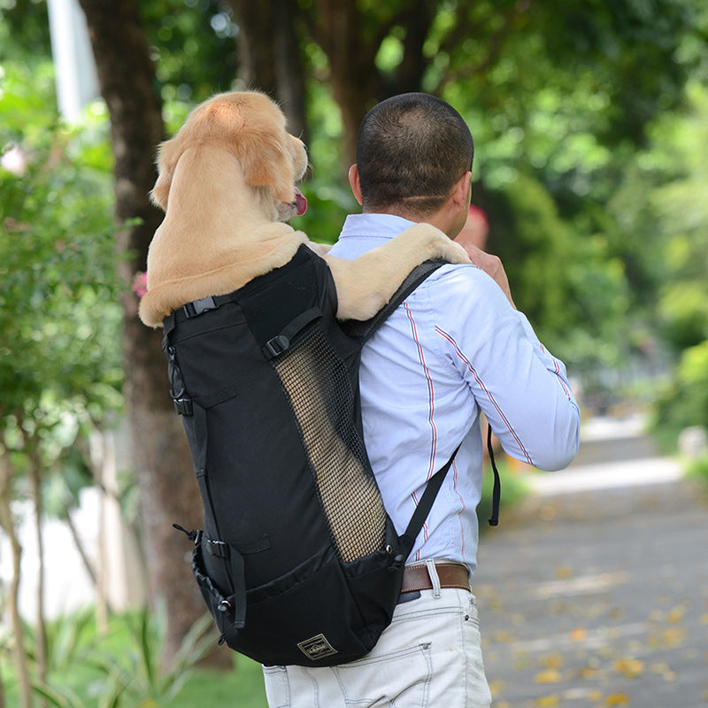 Hunde-Rucksack – Bequeme Tragetasche für mittelgroße Hunde mit Sicherheitsgurt und Aufbewahrungstaschen