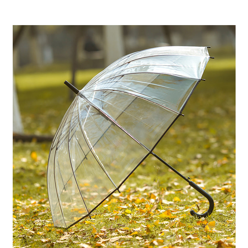 Damen transparenter Wind- und Regenschirm Brehn