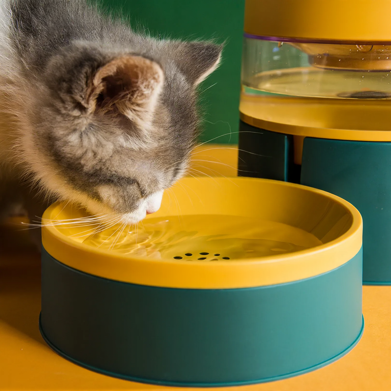 Doppelnapf für Katzen, rutschfest, Futter und Wasser