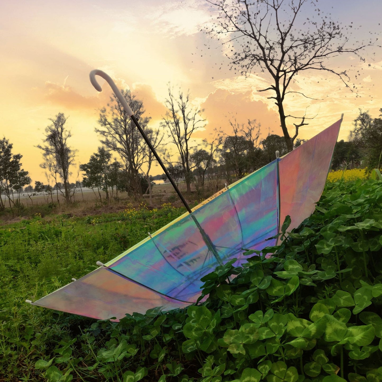 Damen Regenbogenfarbener Regenschirm Brehn