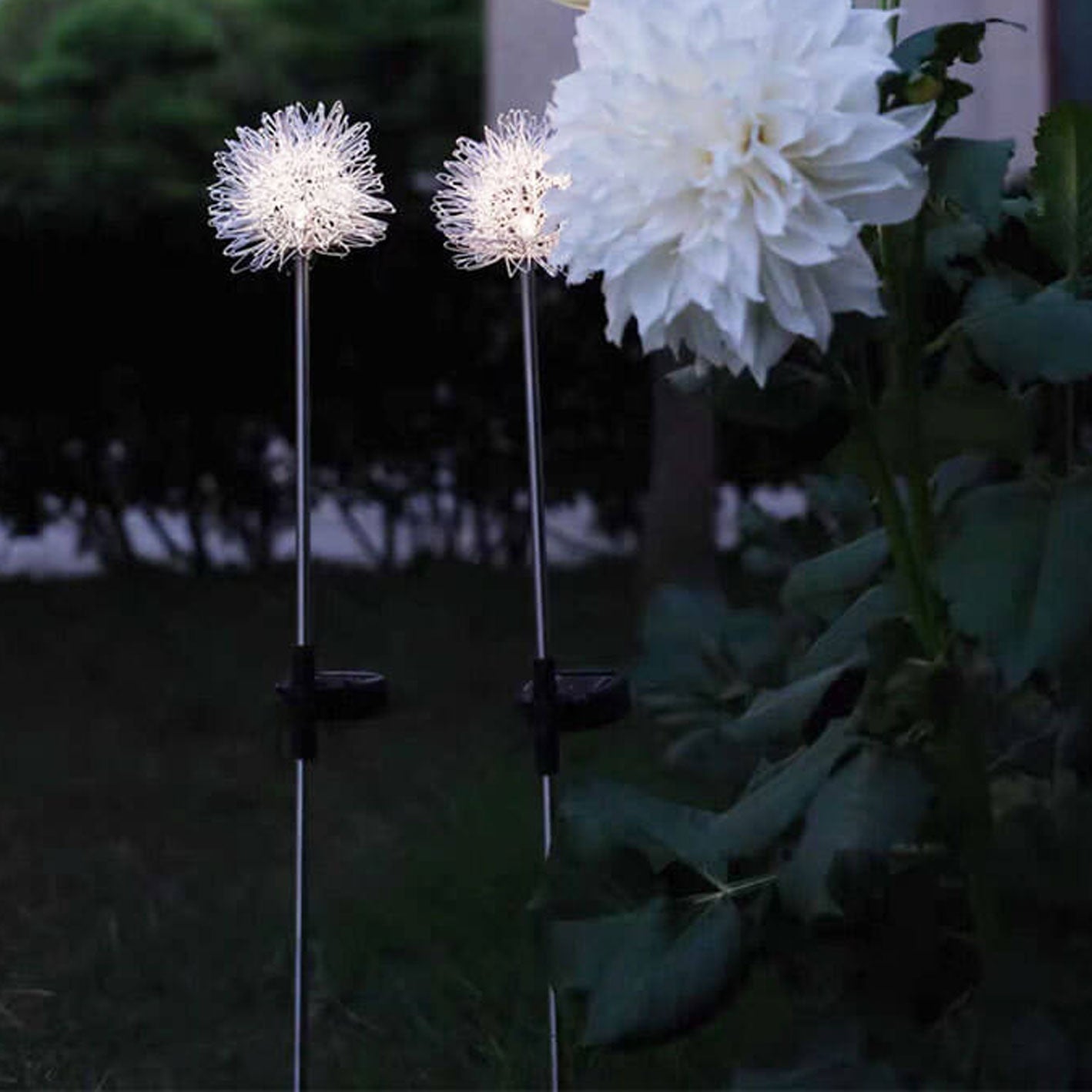 Solar Löwenzahn Aluminiumdraht Globe Licht LED Außen wasserdicht leuchtend Garten Einfügung Boden Landschaft Licht | Brehn