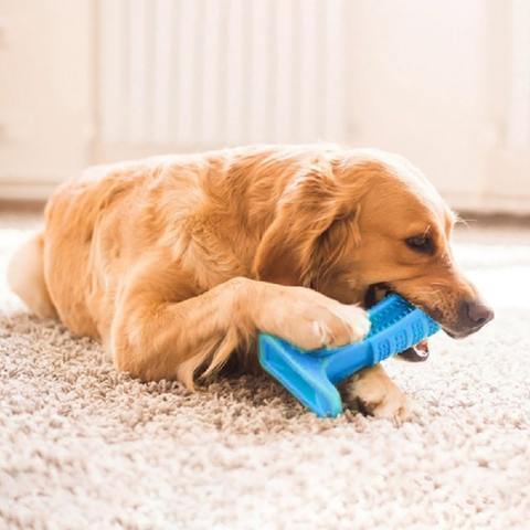 Brehn | Worlds effektivste Zahnbürste für Hunde