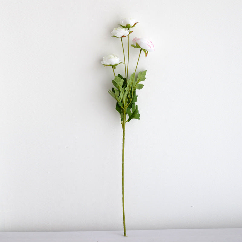Realistische Pfingstrosenblüte Stiel