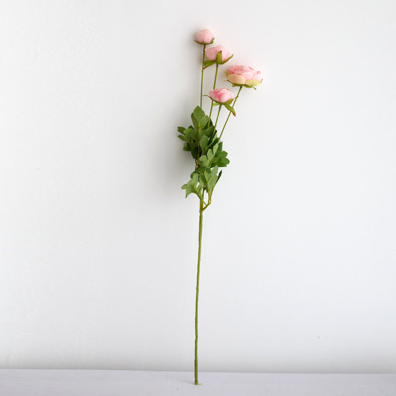 Realistische Pfingstrosenblüte Stiel