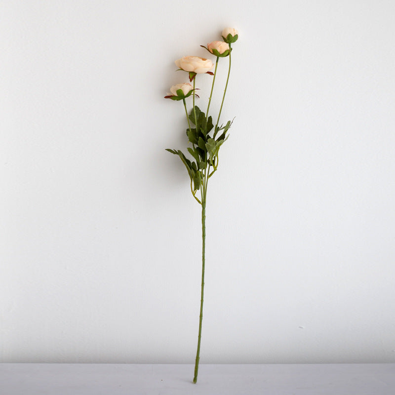 Realistische Pfingstrosenblüte Stiel