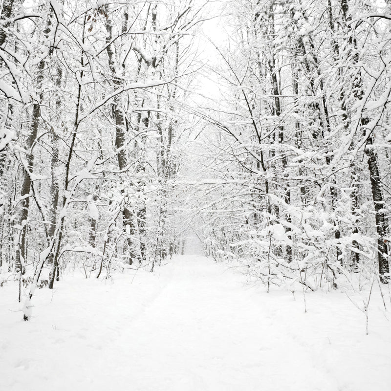 Brehn | Witte sneeuwbedekte boomloze muurmuur winterlandschap moderne vochtbestendige wanddecoratie