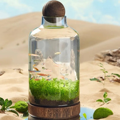 Micro Aquarium Kompakt Glas Ökologisches Fischbecken | Brehn