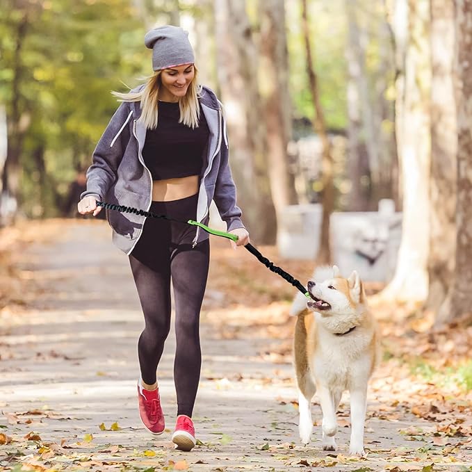 FlowLeash — Erleben Sie sanfte Kontrolle und entspannte Gassirunden ohne Rucke! | Brehn