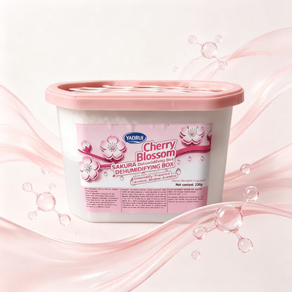Feuchtigkeitsabsorber-Box aus PP, 230g